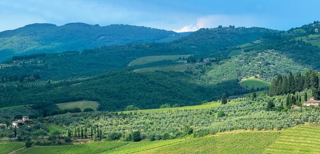 Vignamaggio: Seven Micro-Terroirs, One Polycultural Vision for Chianti Classico