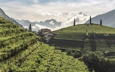 Recordaantal deelnemers voor de Alto Adige Weken in Nederland