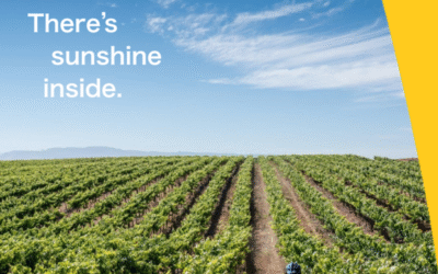 Wines of South Africa lanceert sprankelend nieuw merk:  “There’s Sunshine Inside”