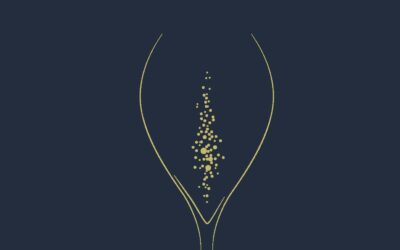 ‘Champagne is zoveel meer dan een feestdrankje.’