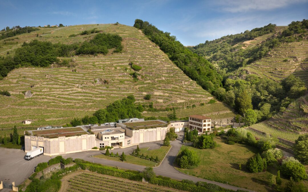 Vidal-Fleury focuses on long term and officially commits to CSR for a sustainable future in the Rhône Valley