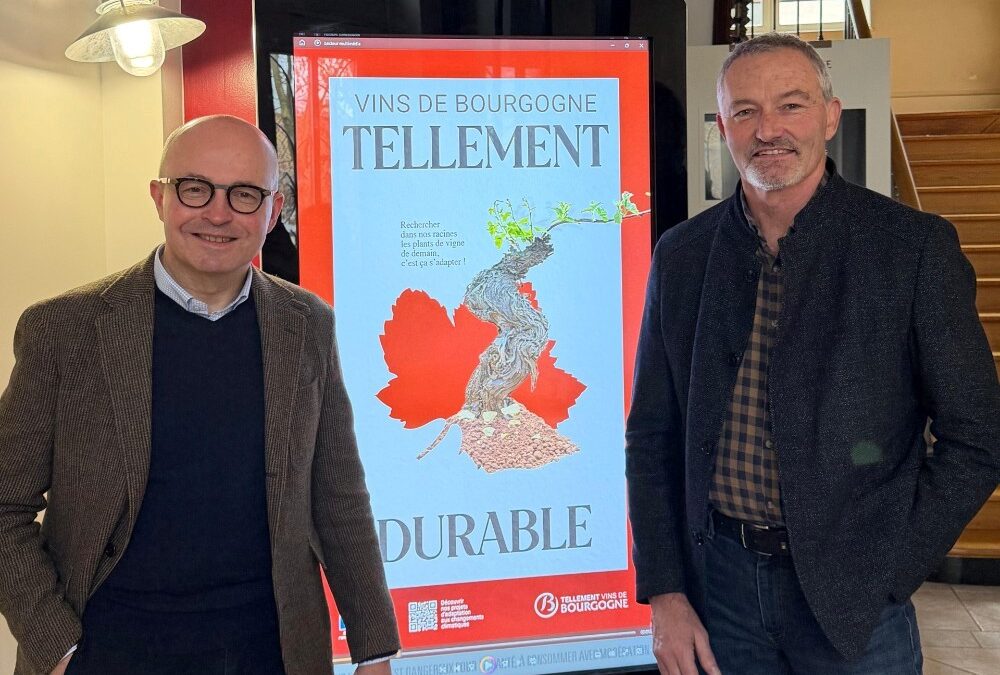 A New Leadership Duo to Shape the Future of Bourgogne Wines