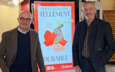 A New Leadership Duo to Shape the Future of Bourgogne Wines