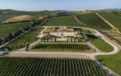 Famiglia Cecchi Celebrates 30 Years of Val delle Rose