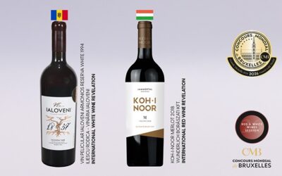 Hungary and Moldova crowned International Revelations at the 2026 Red and White Wines Session of the CMB