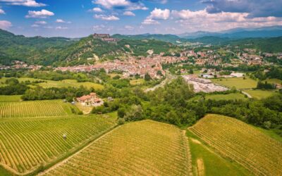 Gavi DOCG Strengthens Its Global Footprint, Confirming Its Position Among Italy’s Leading White Wine Exports