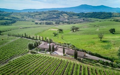Aminta as an experience: Famiglia Cecchi welcomes visitors to Montalcino