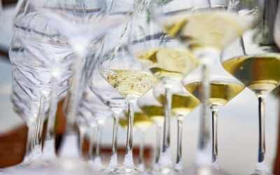 Austria: Wine harvest 2026: small berries, big aromatics
